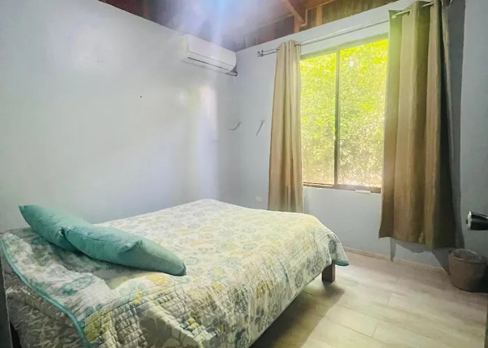 Apartment Con Jardin Privado Coco